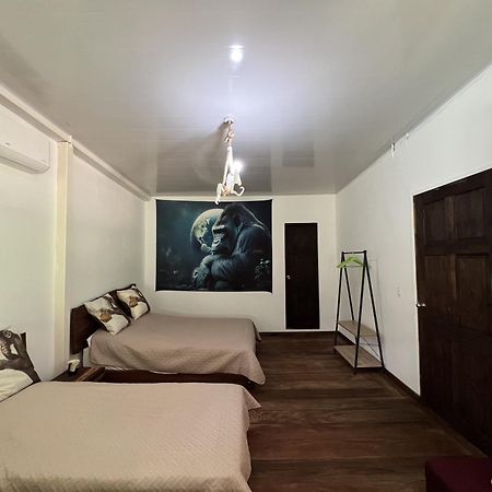 巴拿马猴子山林小屋住宿加早餐旅馆 Chilibre 外观 照片
