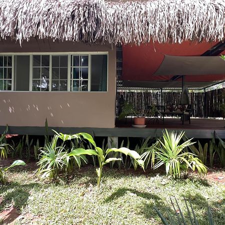 巴拿马猴子山林小屋住宿加早餐旅馆 Chilibre 外观 照片