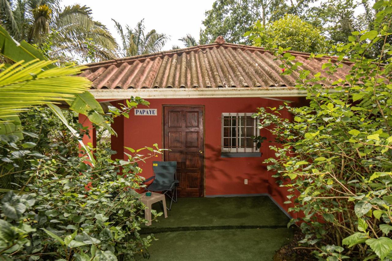 巴拿马猴子山林小屋住宿加早餐旅馆 Chilibre 外观 照片