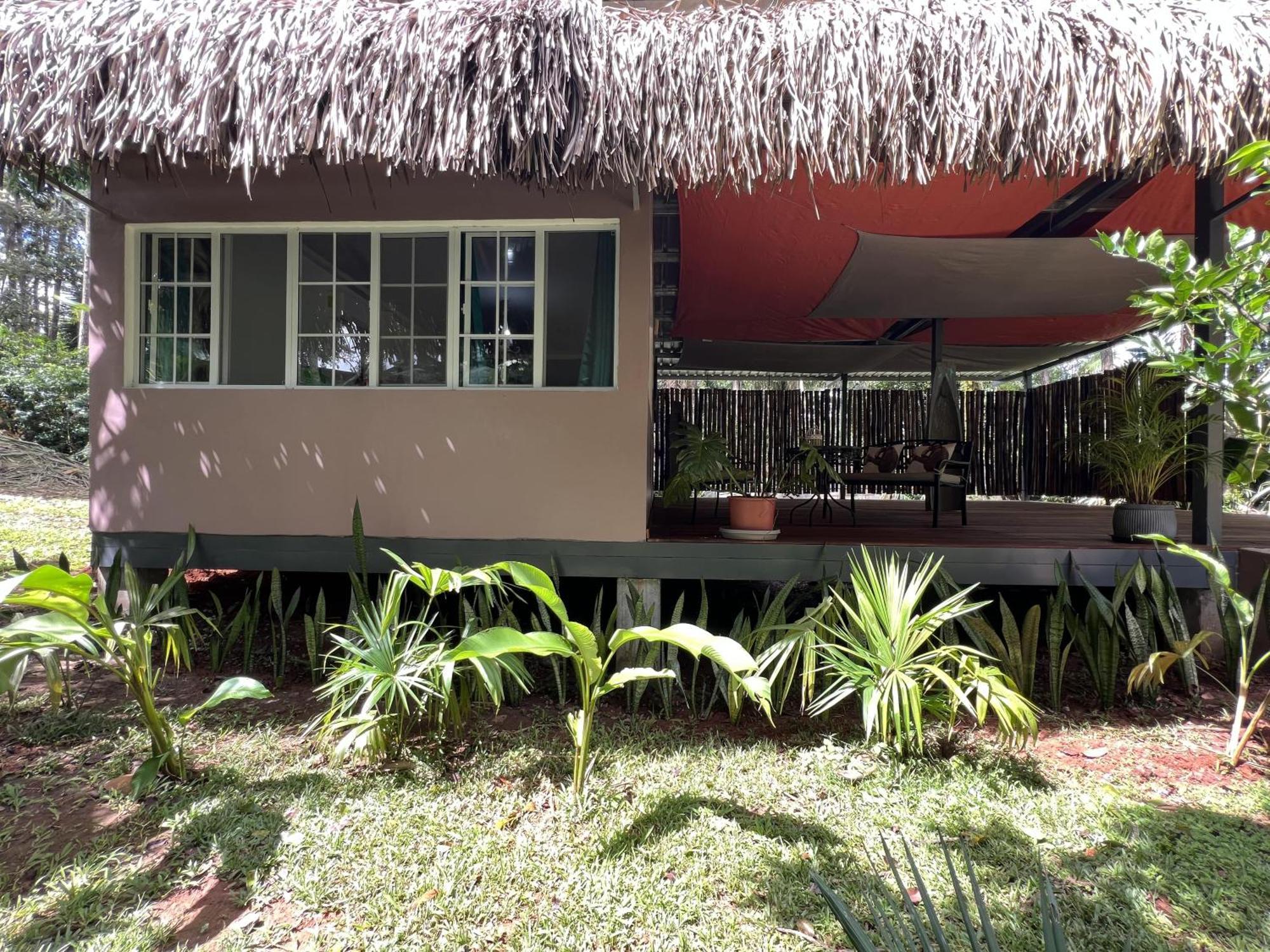 巴拿马猴子山林小屋住宿加早餐旅馆 Chilibre 外观 照片