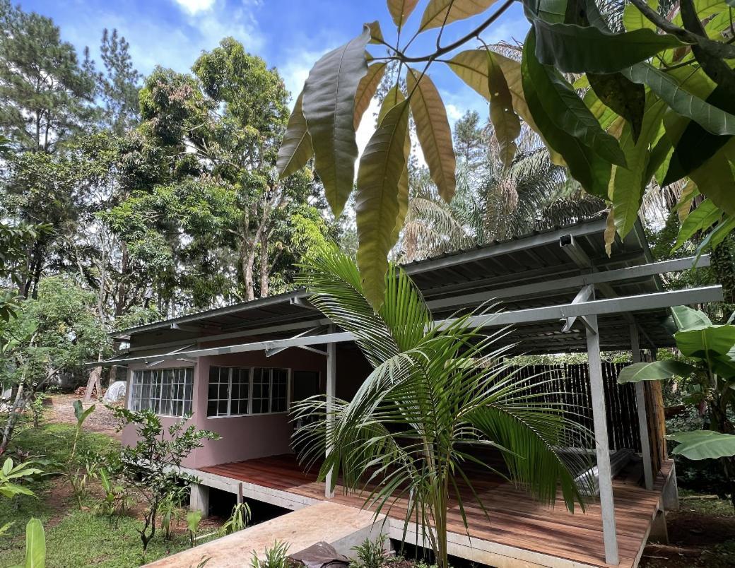 巴拿马猴子山林小屋住宿加早餐旅馆 Chilibre 外观 照片