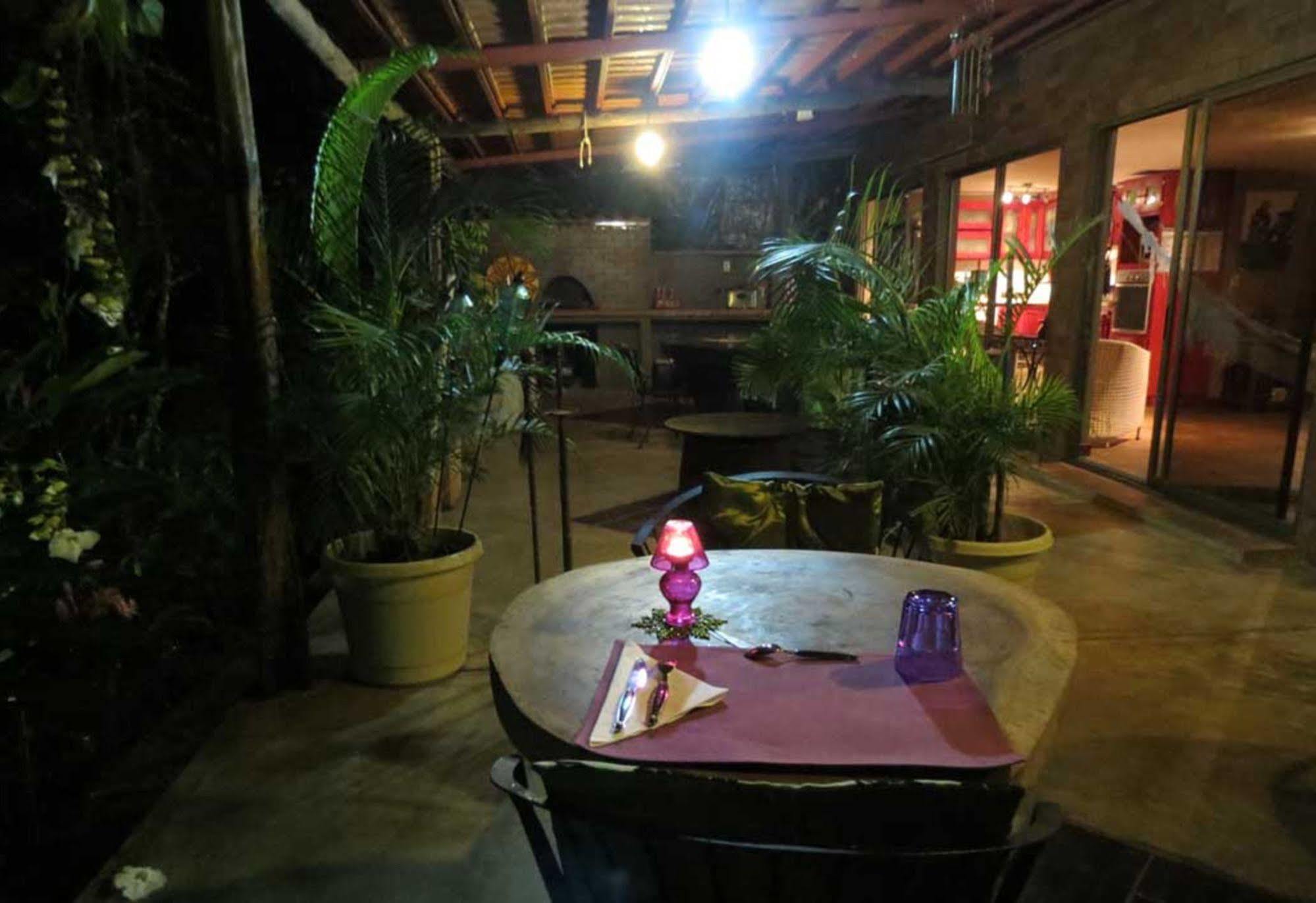 巴拿马猴子山林小屋住宿加早餐旅馆 Chilibre 外观 照片
