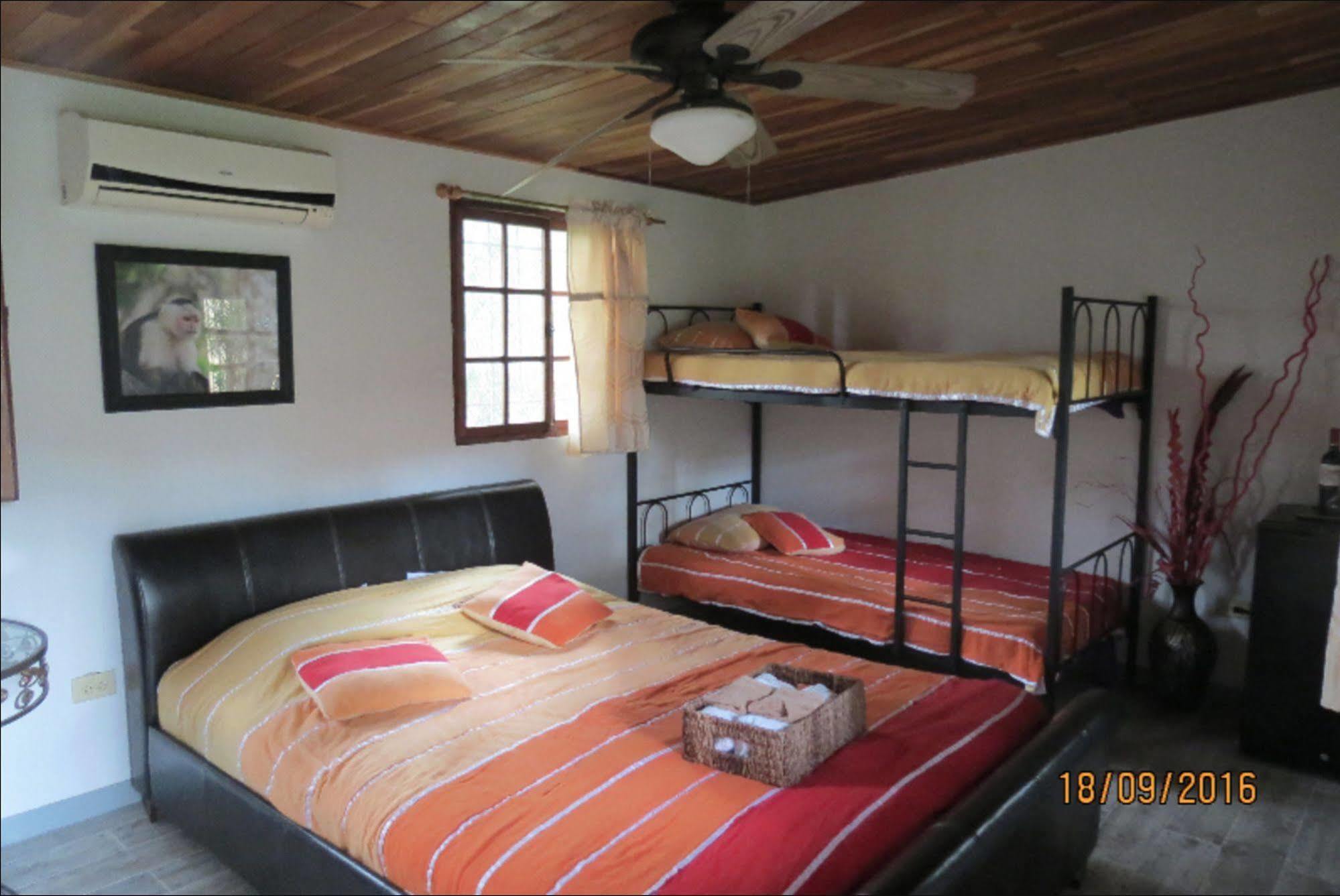 巴拿马猴子山林小屋住宿加早餐旅馆 Chilibre 外观 照片