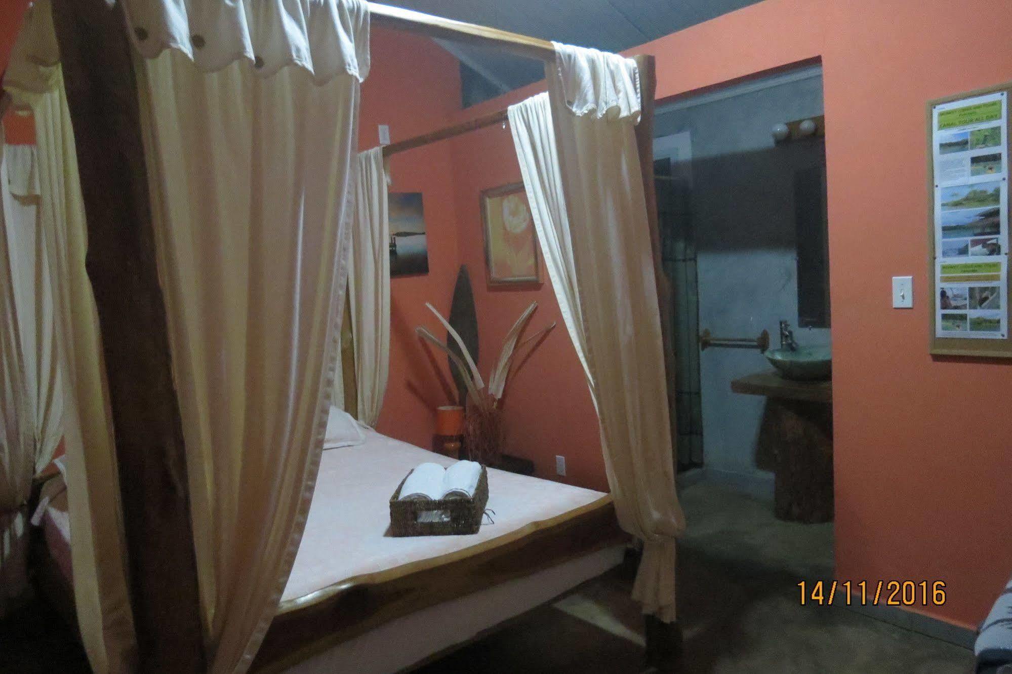 巴拿马猴子山林小屋住宿加早餐旅馆 Chilibre 外观 照片