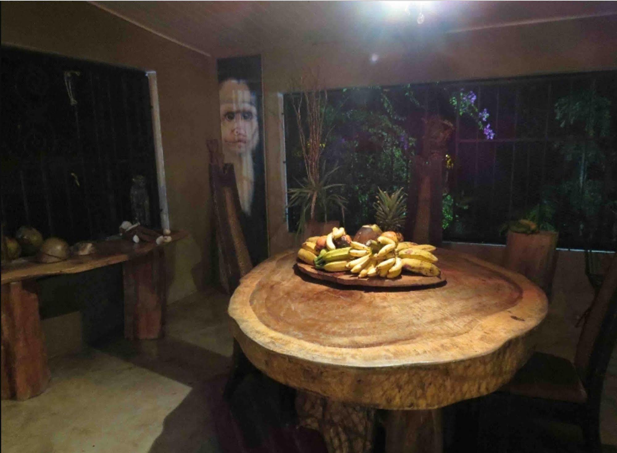 巴拿马猴子山林小屋住宿加早餐旅馆 Chilibre 外观 照片