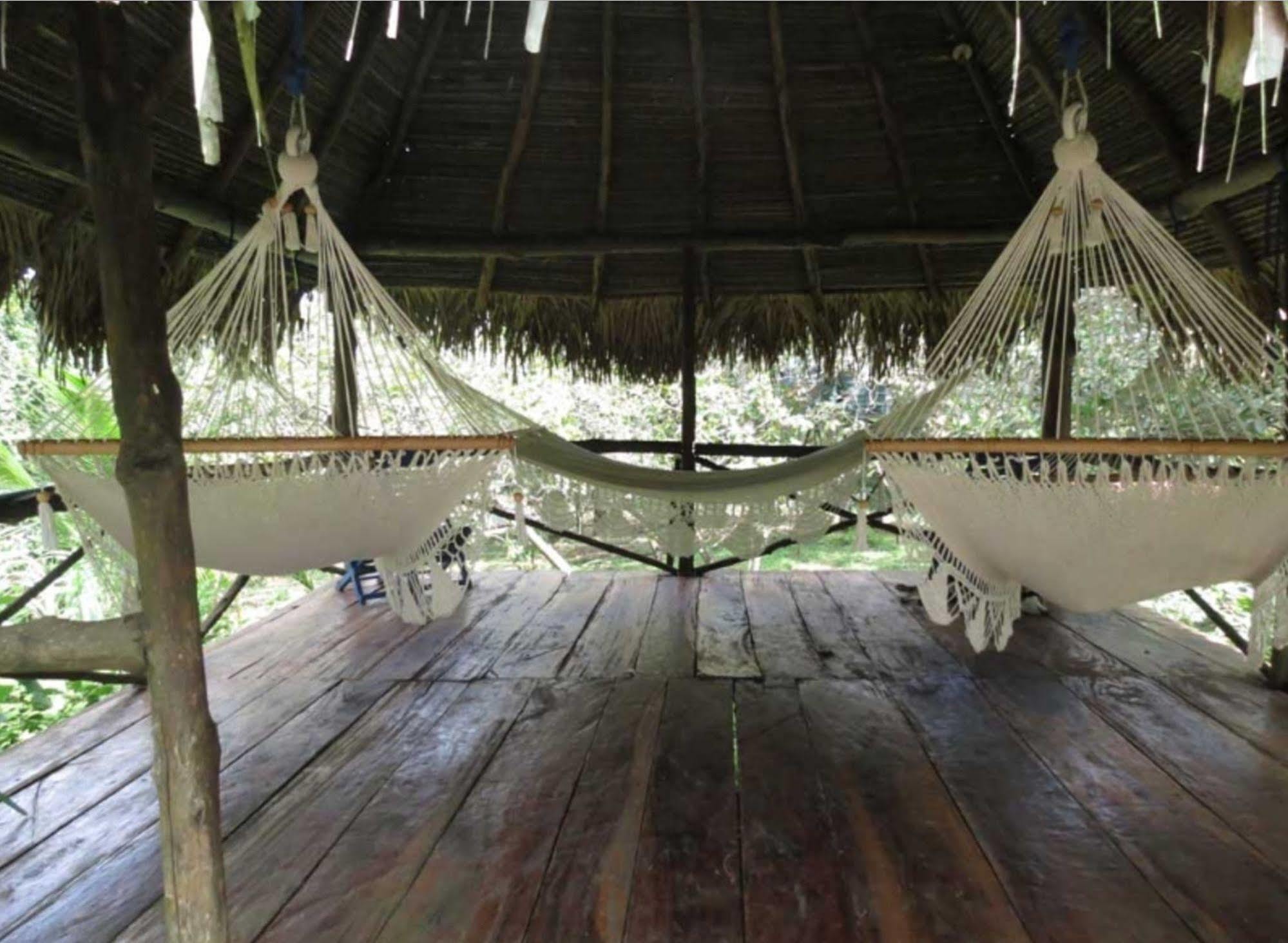 巴拿马猴子山林小屋住宿加早餐旅馆 Chilibre 外观 照片